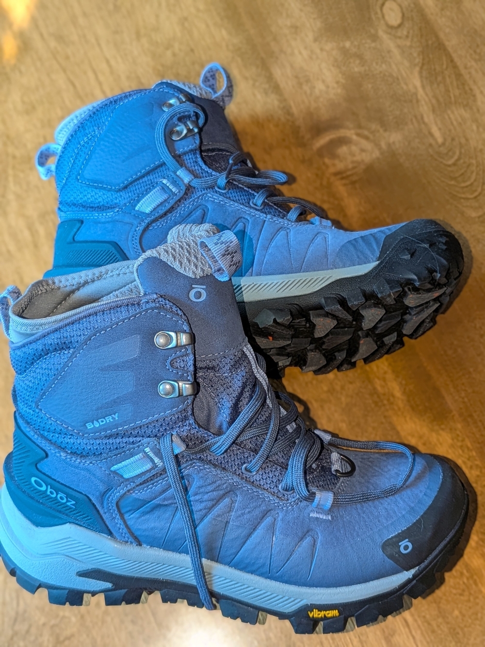 Oboz Women's Bangtail Mid Insulated Waterproof